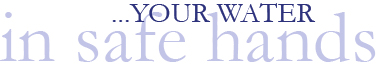 pageFooter